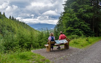 A couple sat on a bench away from the camera enjoying views of forests and mountains