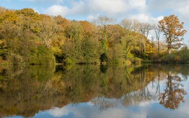 Wych Lodge river backed by trees