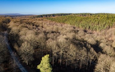 Aerial photo of Wyre Forest in the winter