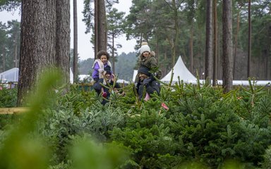 Family shopping for Christmas trees 