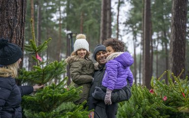 Family shopping for Christmas trees in the forest