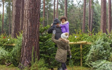 Family shopping for Christmas trees