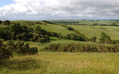 Green rolling hills in the countryside with blue skies 
