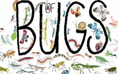 A book cover called the big book of bugs, covered in cartoon bugs!