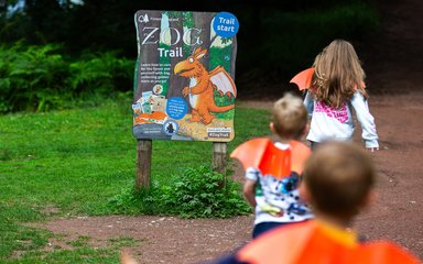 Kids starting a Zog trail in a forest