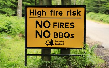 A Forestry England high fire risk sign displaying No Fires and No BBQs on a forest road