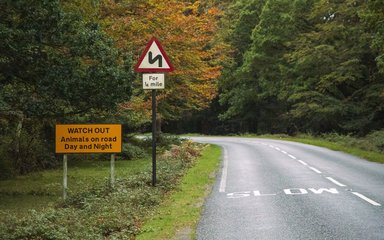 A road sign warning of animals on road day and night