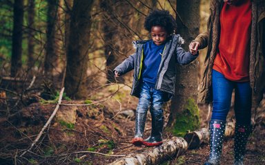 Kid walking along trunk log holding parent's hand