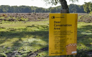 A deer conservation area sign in the New Forest