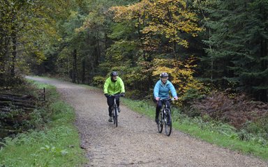 A couple cycling on a forest trail