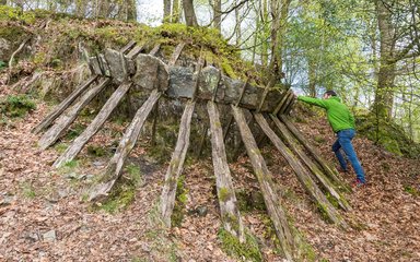 Grizedale Cliff Structure, Richard Harris