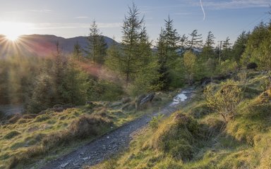 sun shining past mountains and through trees