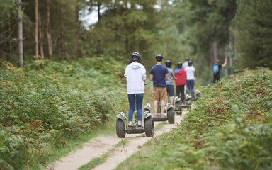 people on Segways on a forest path