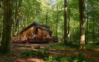 Forest Holidays cabin in the woods