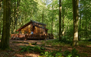 Forest Holidays Forestry England