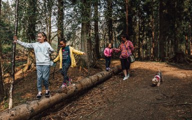 Kids playing on log