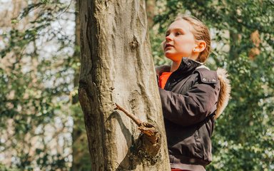 A girl is examining a tree trunk in a forest