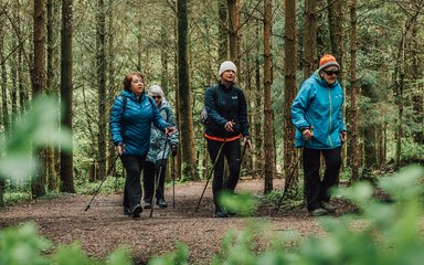 A group of Nordic walkers walking through a young conifer plantation