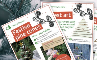 Festive family activity sheets