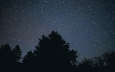 Stars in Night Sky 