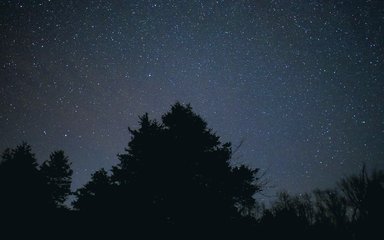 Stars in Night Sky