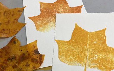 Leaves and prints made from them on card