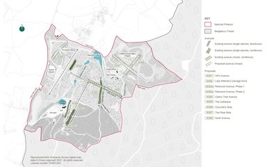 Bedgebury National Pinetum Landscape Masterplan