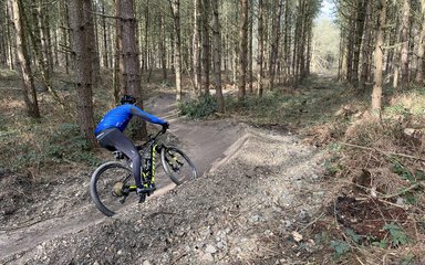 cyclist in blue top on a forest mountain bike trail