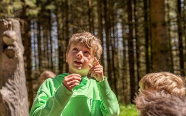 A boy in a green jumper is pointing to something in the forest