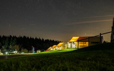 Lights coming from safari tents at night, with forest treetops seen in the distance.
