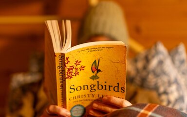 Close-up of a person reading a book in a wooden cabin.