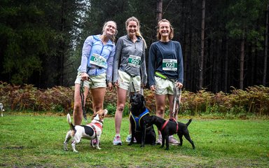 Runners at Cani-cross with their dogs