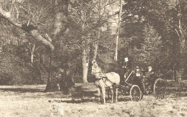 westonbirt historic