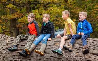 Four boys sitting on a fallen tree trunk in the forest.