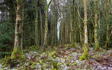 Frosty crosscliff at Dalby forest taken by Tony Bartholomew