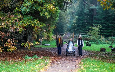 Woman using a tramper with two walkers in the forest in autumn.