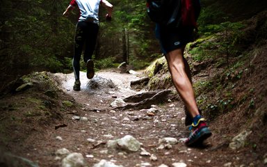 Trail runners in the forest