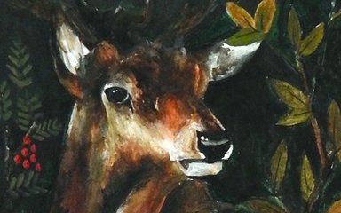 deer illustration