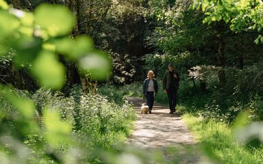 Man and woman walking dog along a path through forest