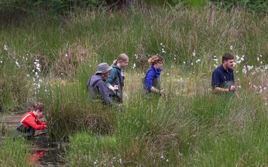 Staff in waders walking through bog