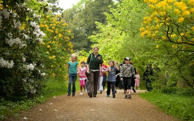 A group of children walk along a forest path with an adult female at the front