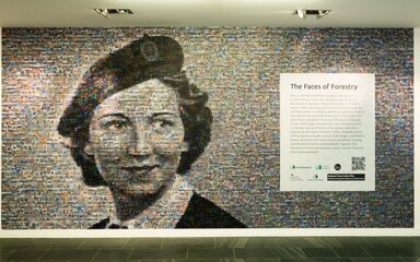 A wall featuring an image of a female face made up of other small images, and a text box about the 'faces of forestry'.