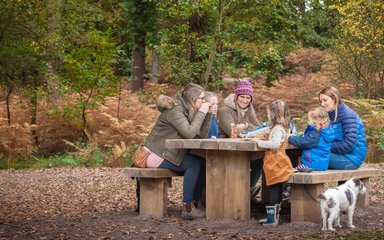 Family having a picnic in the forest