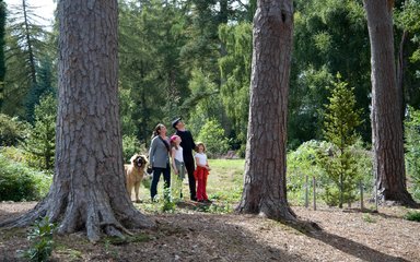 Family enjoying a woodland trail