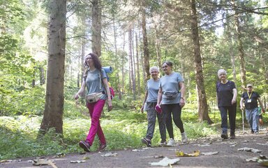 A group of five people walking together along a sunny forest path.