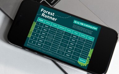 A mobile phone screen displaying a 'forest runner' plan in table form.