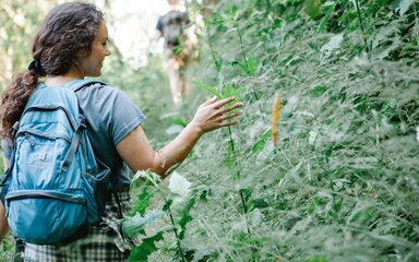 A woman smiling as she touches leaves in the forest.