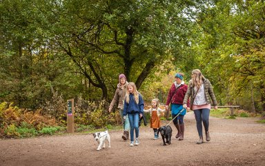 Family walking in autumn