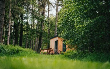 A wooden cabin with seats outside, nestled in green woodland.