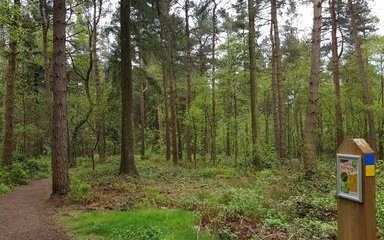 Walking trail at Forty Acre Piece  